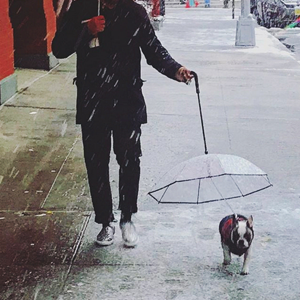 Transparent Dog Umbrella with Leash - PawEverShop
