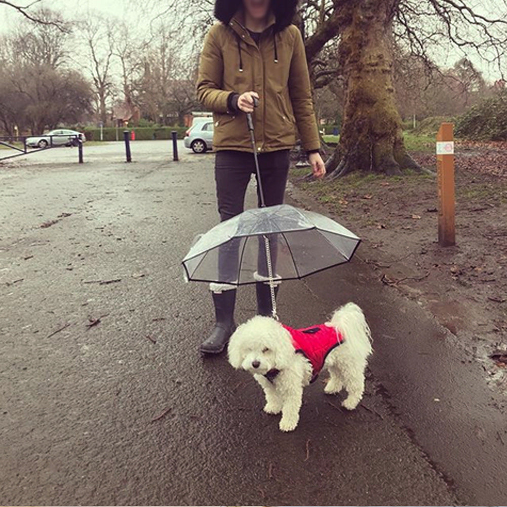 Transparent Dog Umbrella with Leash - PawEverShop