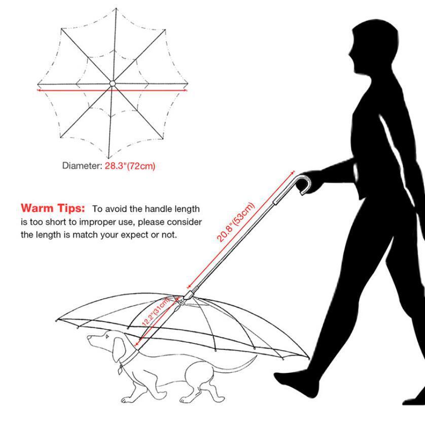 Transparent Dog Umbrella with Leash - PawEverShop